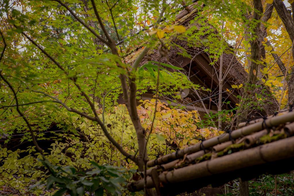 فندق Kurokawa Onsen Oyado Noshiyu ميناميوغوني المظهر الخارجي الصورة