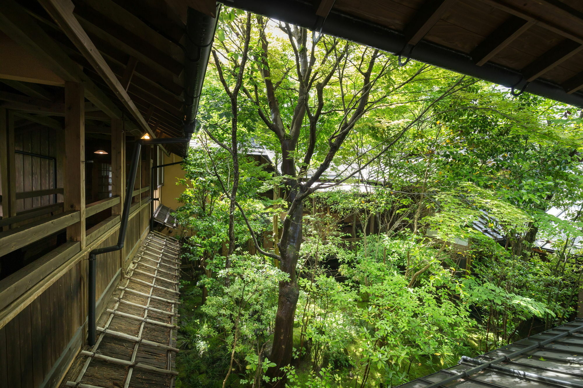 فندق Kurokawa Onsen Oyado Noshiyu ميناميوغوني المظهر الخارجي الصورة