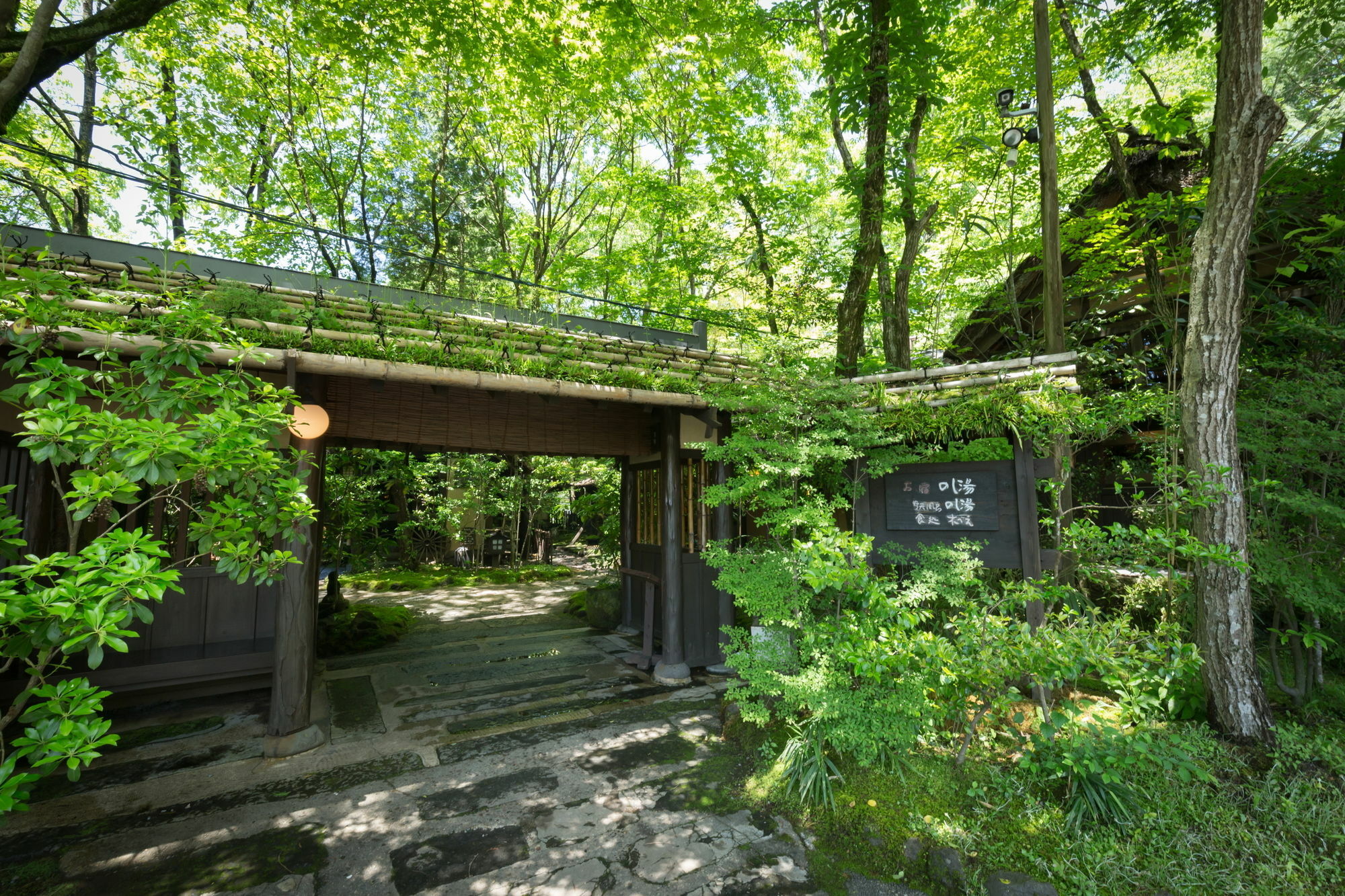 فندق Kurokawa Onsen Oyado Noshiyu ميناميوغوني المظهر الخارجي الصورة